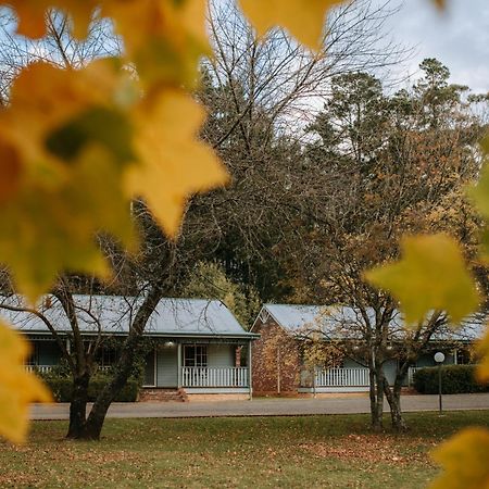 Federation Gardens & Possums Hideaway Villa Blackheath Buitenkant foto