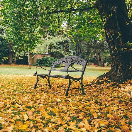 Federation Gardens & Possums Hideaway Villa Blackheath Buitenkant foto