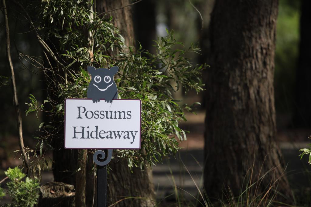 Federation Gardens & Possums Hideaway Villa Blackheath Buitenkant foto