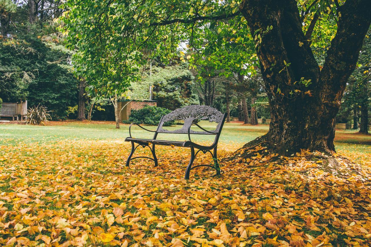 Federation Gardens & Possums Hideaway Villa Blackheath Buitenkant foto