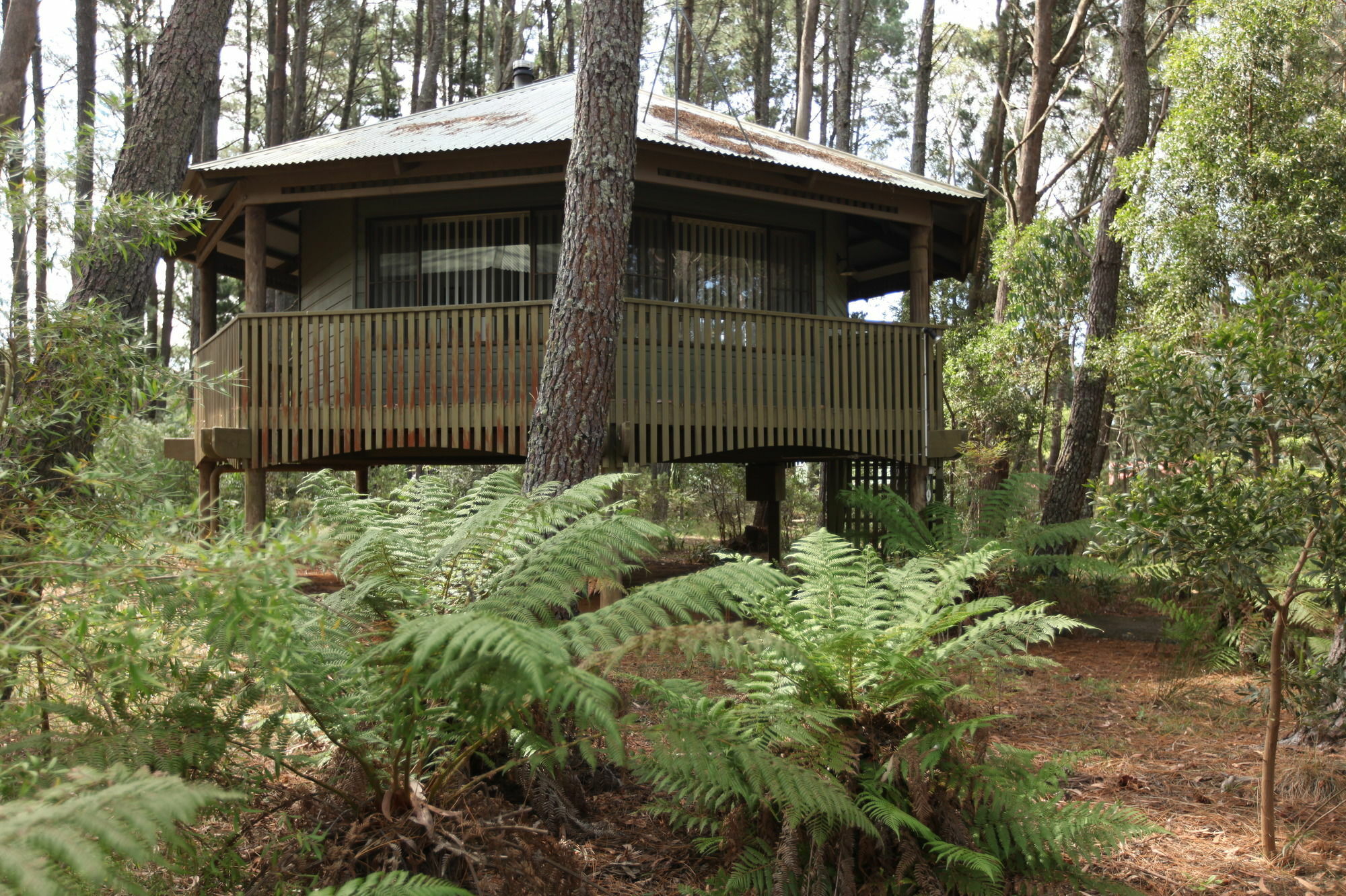 Federation Gardens & Possums Hideaway Villa Blackheath Buitenkant foto
