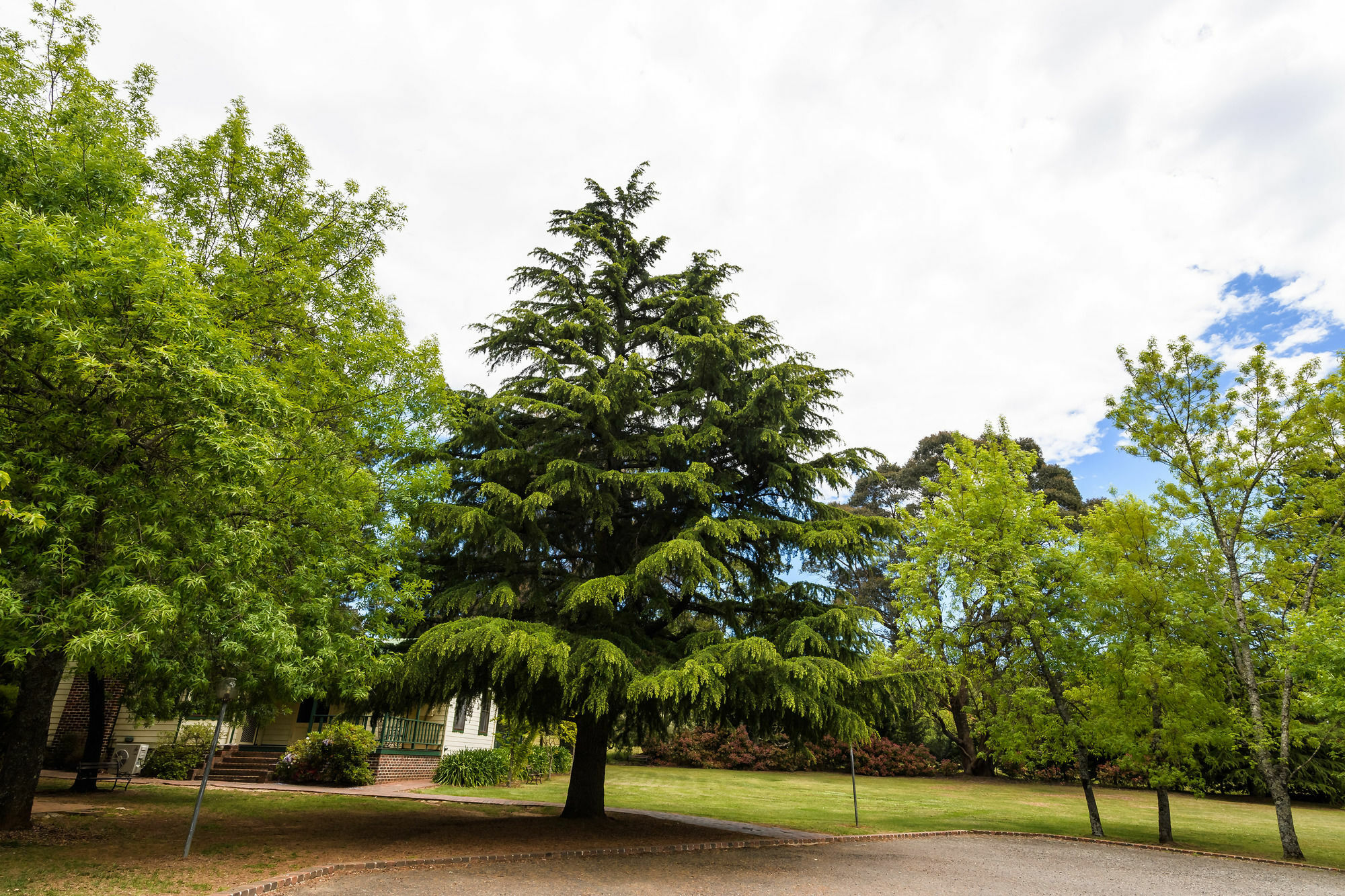 Federation Gardens & Possums Hideaway Villa Blackheath Buitenkant foto